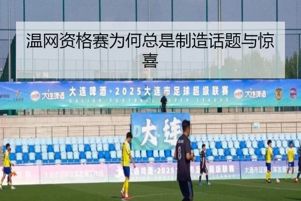 wen-wang-zi-ge-sai-wei-he-zong-shi-zhi-zao-hua-ti-yu-jing-xi-2-250.jpg